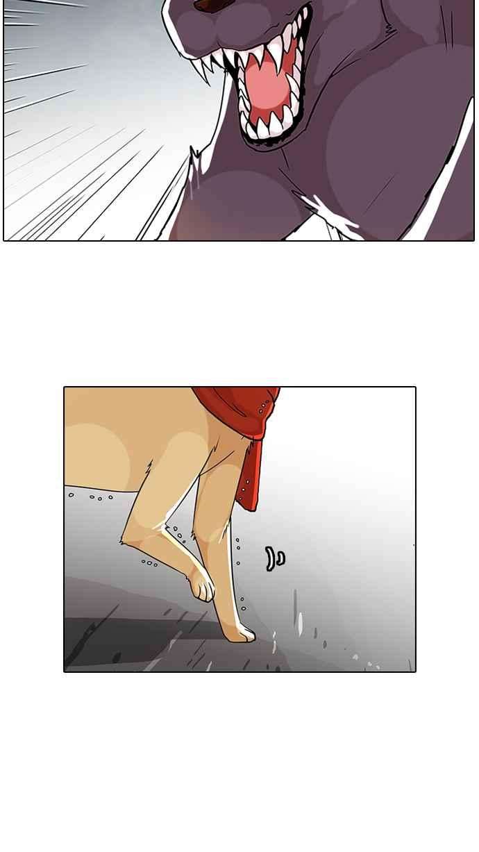 50.jpg