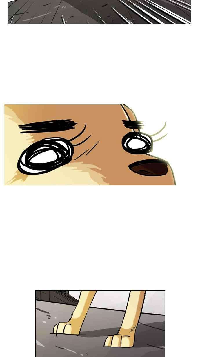 55.jpg