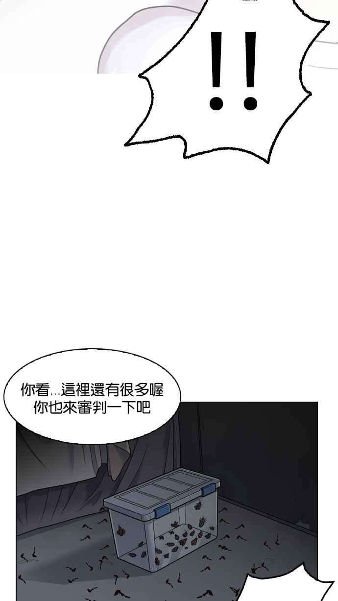 91.jpg