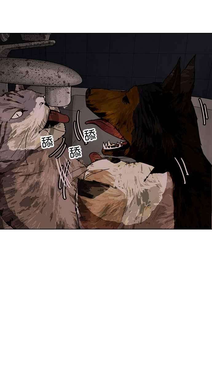 35.jpg
