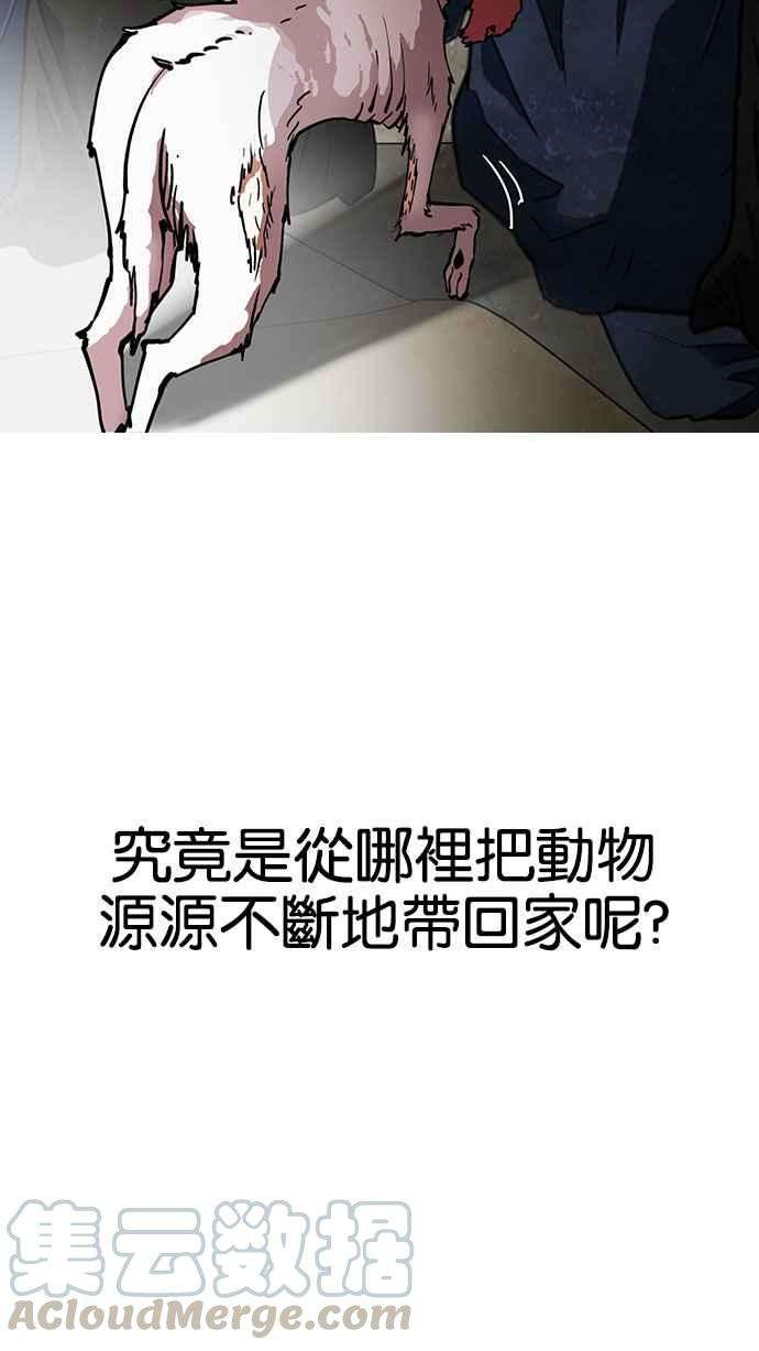 91.jpg