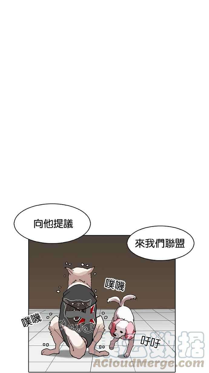 81.jpg