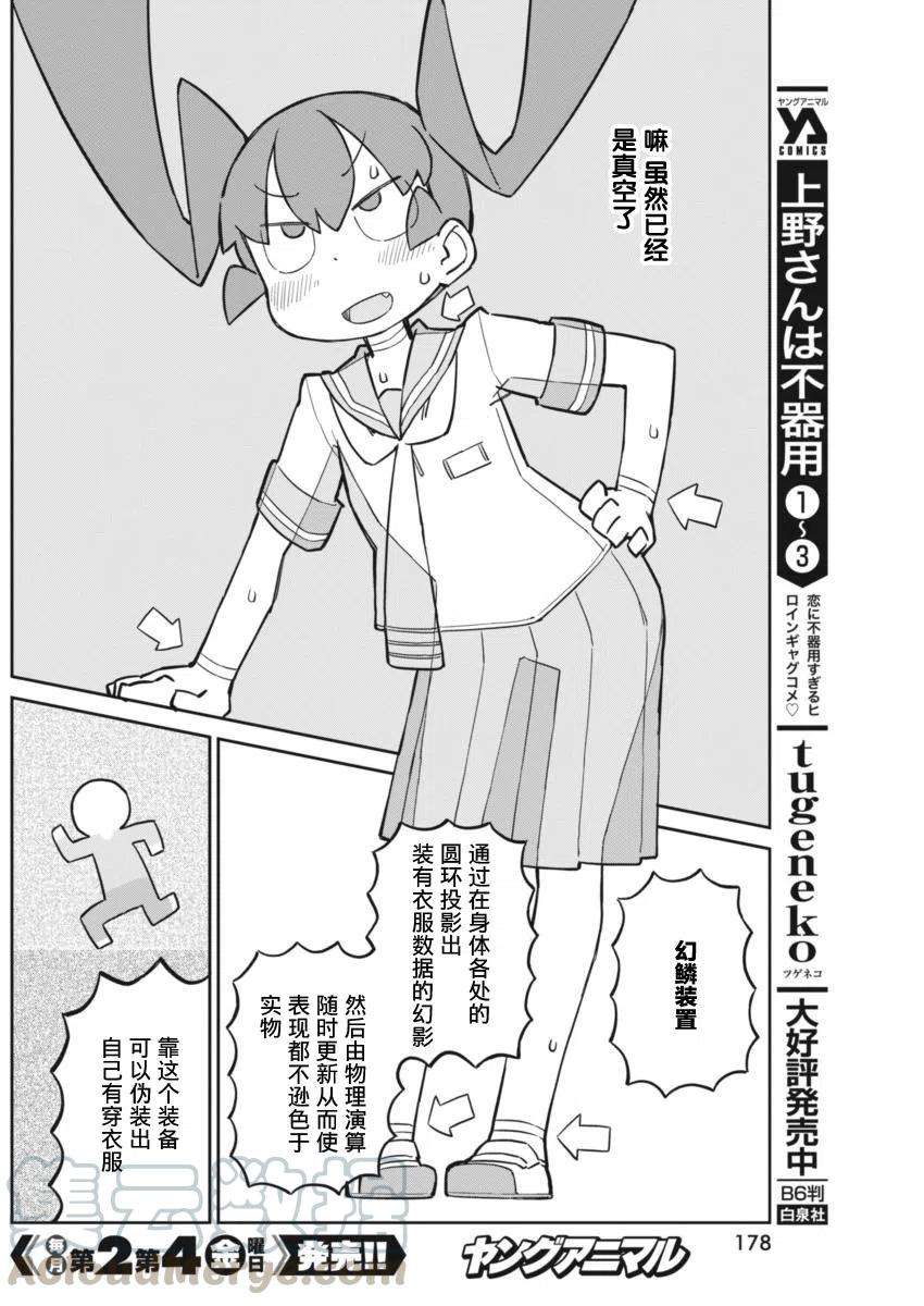 4.jpg