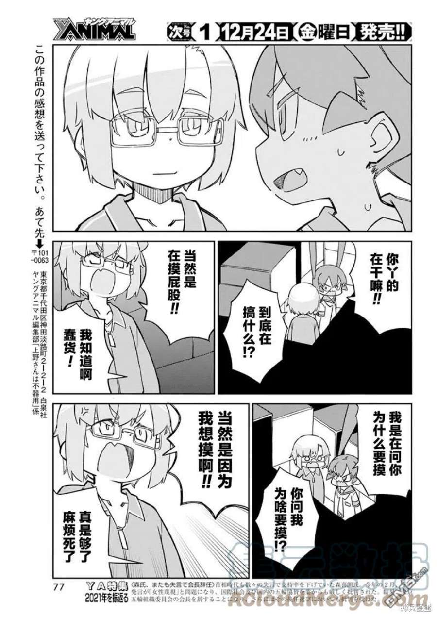 11.jpg
