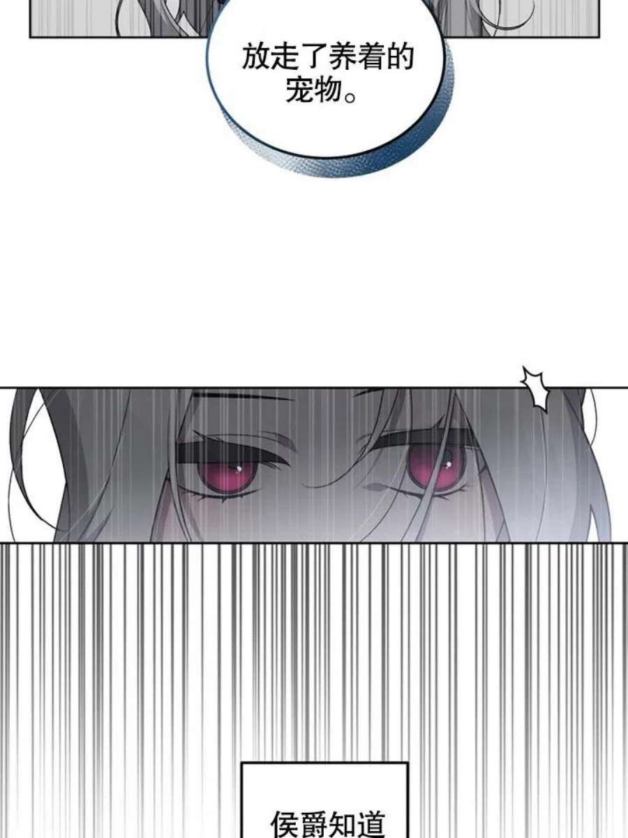 74.jpg
