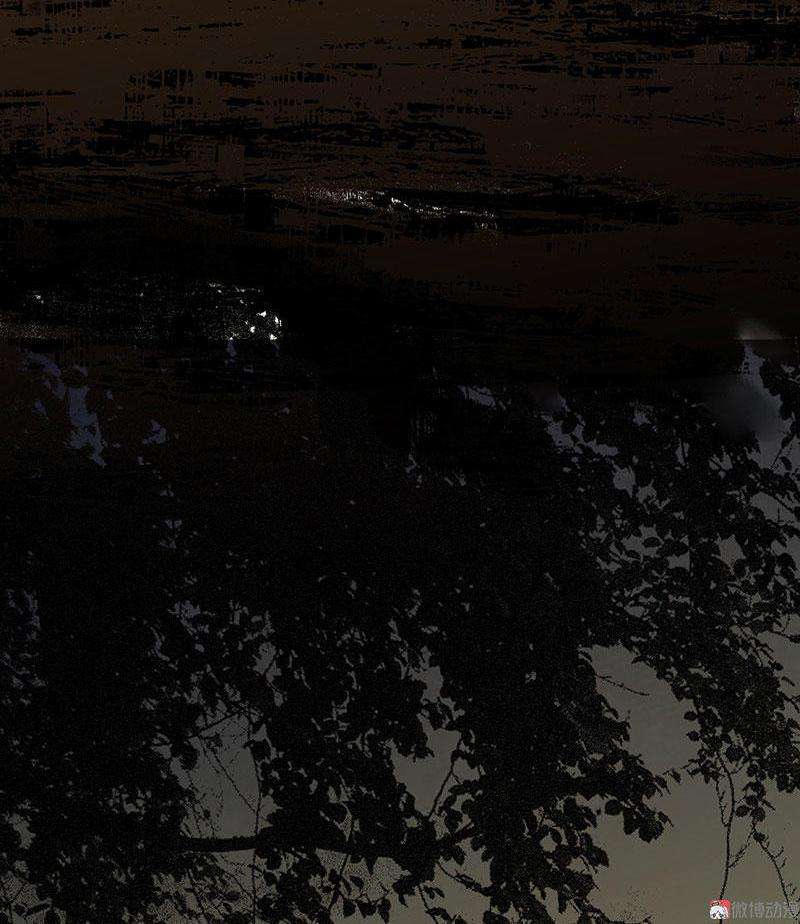 77.jpg