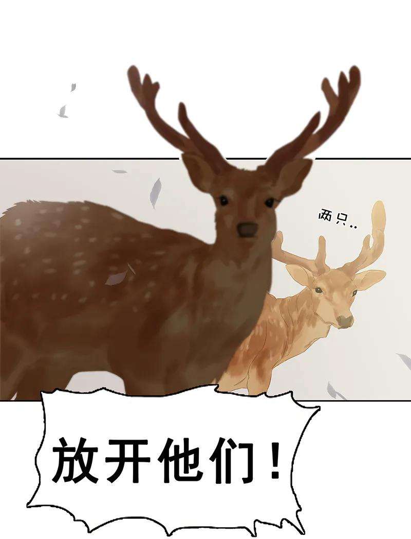 50.jpg
