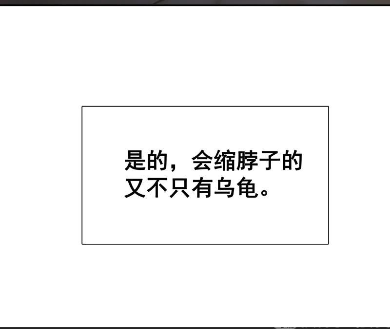 85.jpg