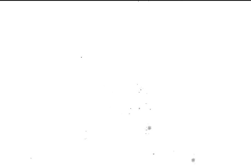 75.jpg