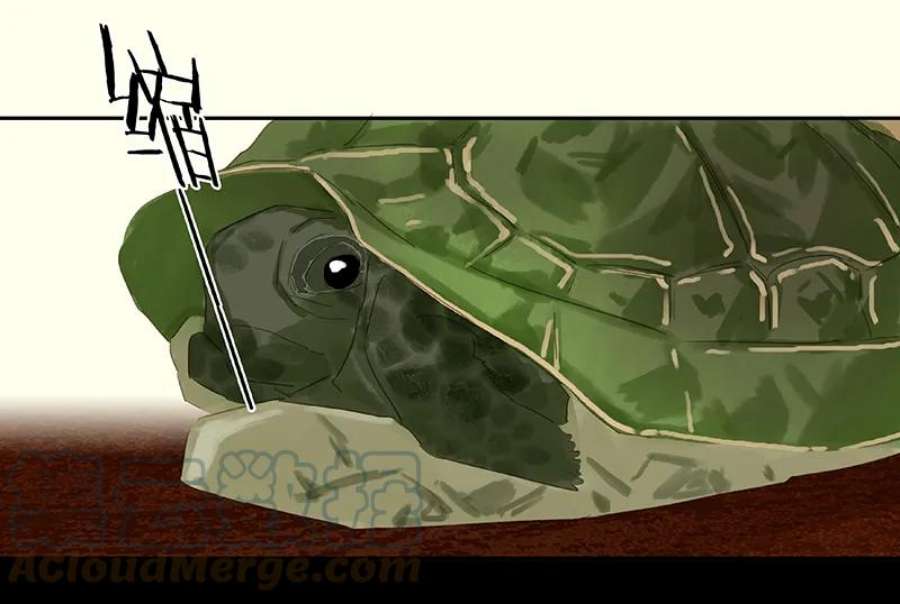 40.jpg