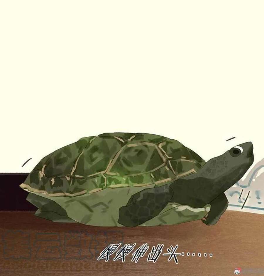 52.jpg
