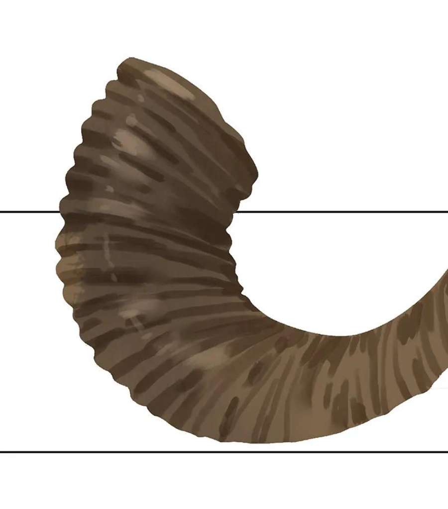 78.jpg