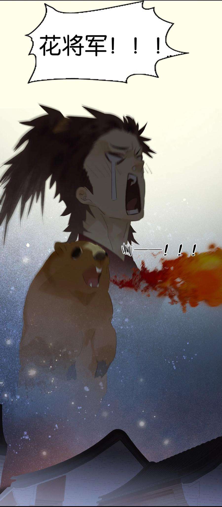 41.jpg