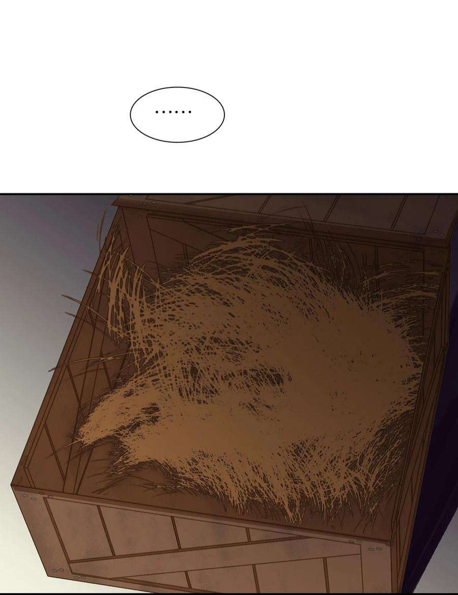 48.jpg