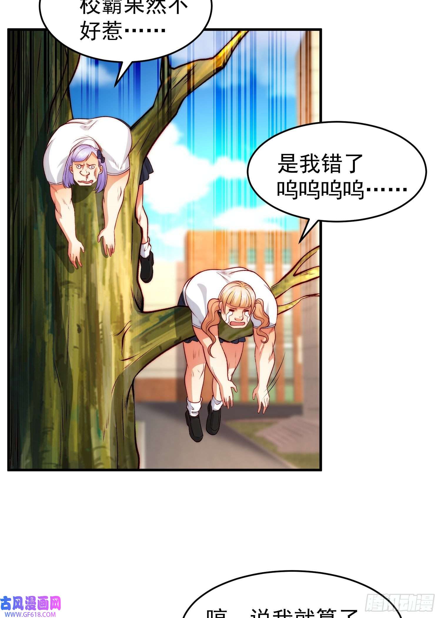 19.jpg