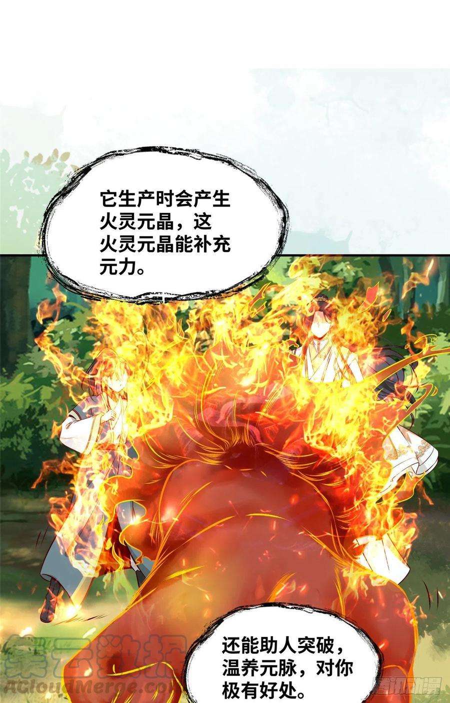 11.jpg