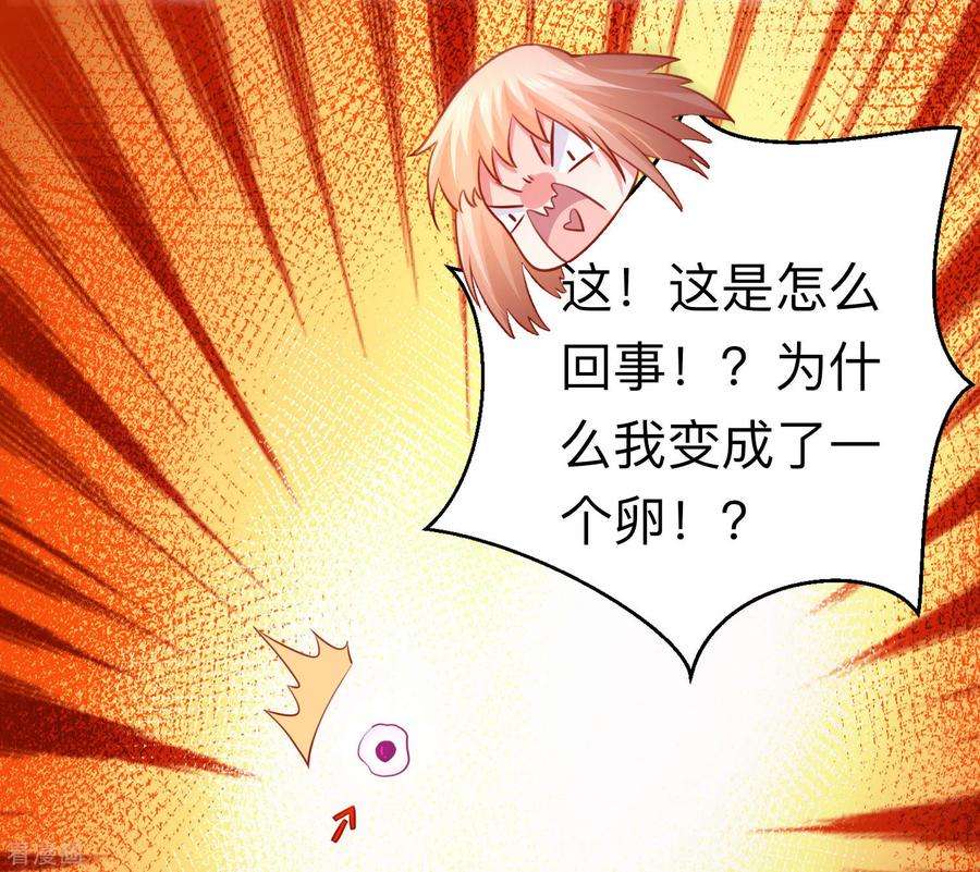 31.jpg