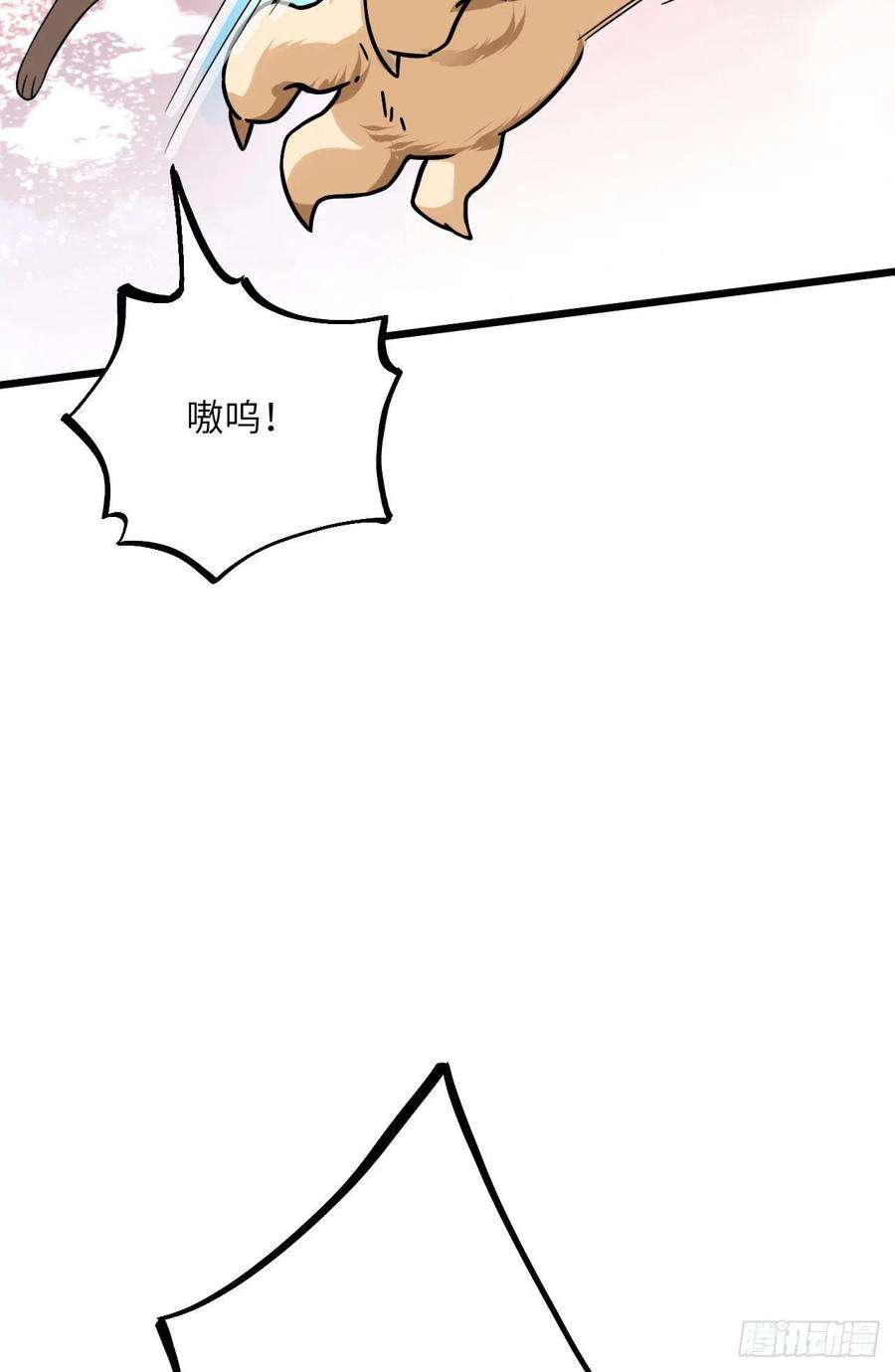 51.jpg
