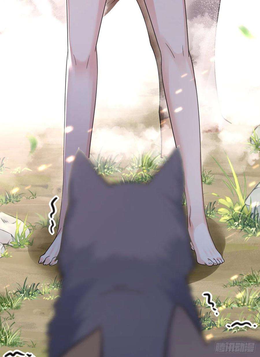 41.jpg