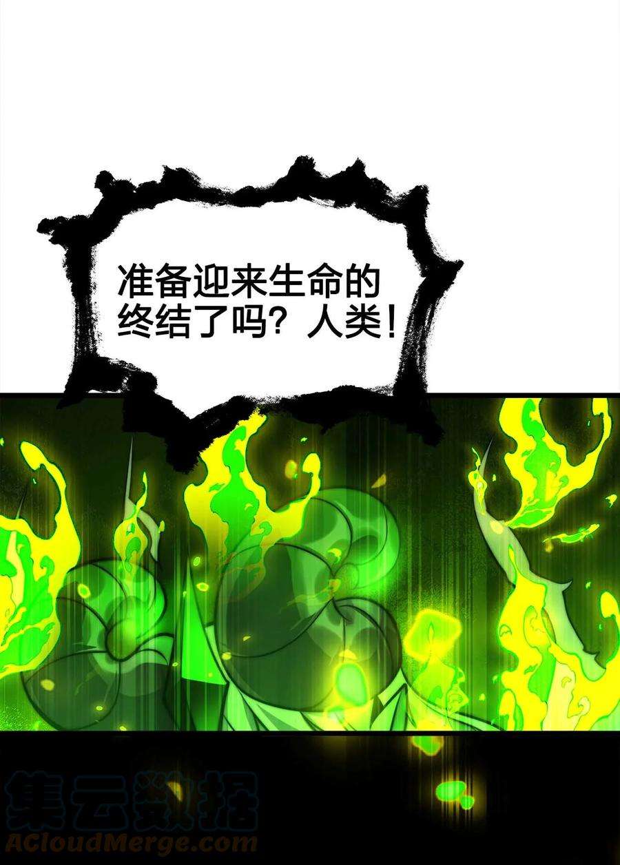 43.jpg