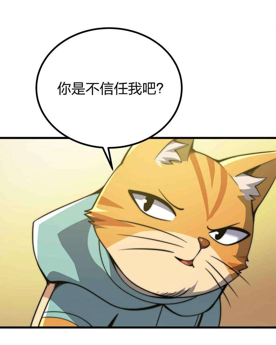 41.jpg