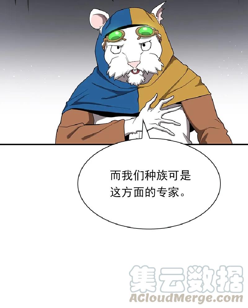 43.jpg