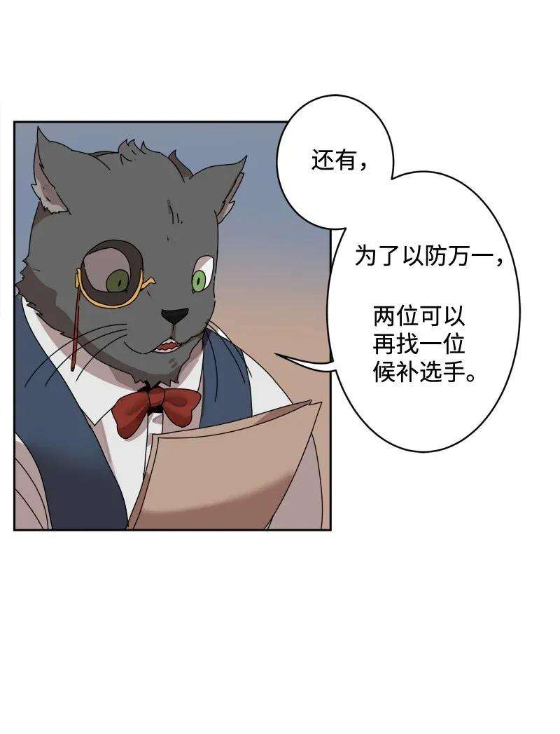19.jpg