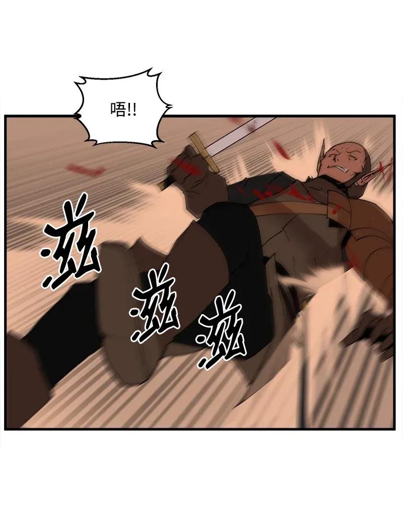 41.jpg