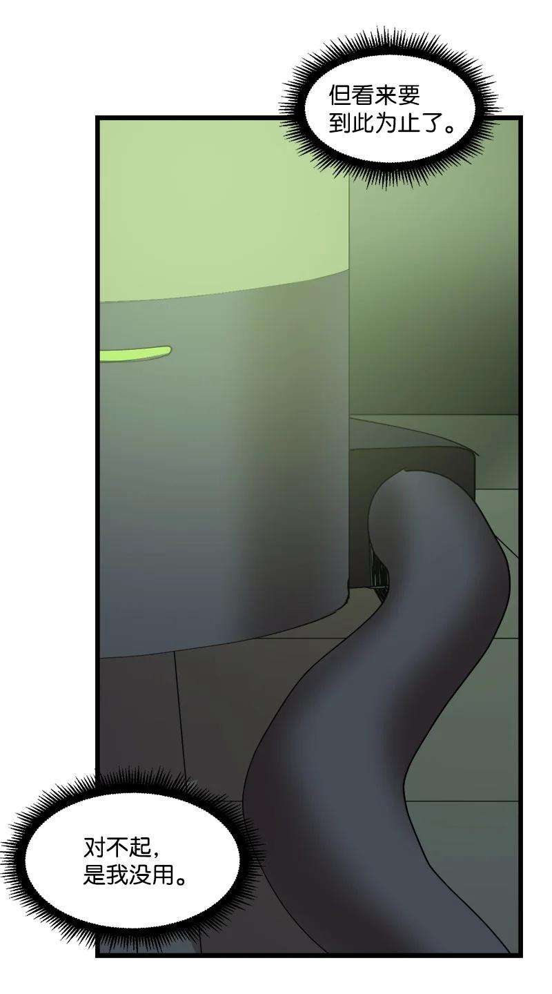 47.jpg