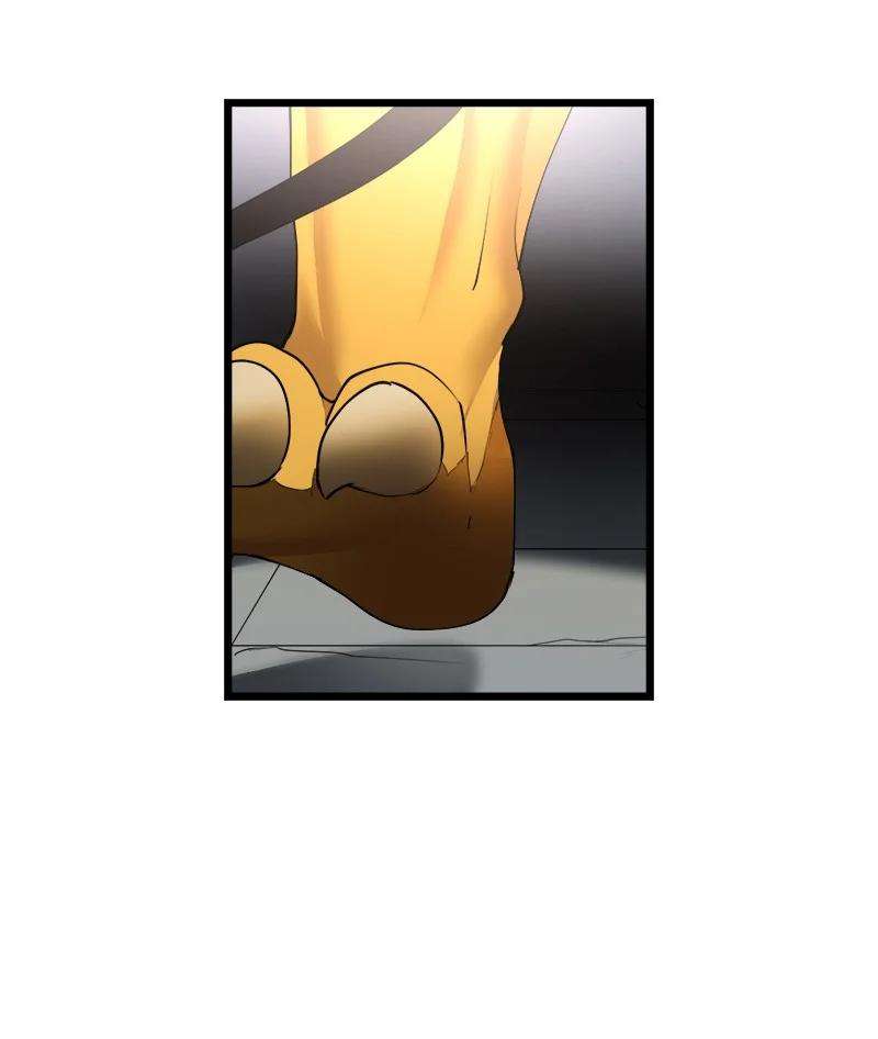 62.jpg
