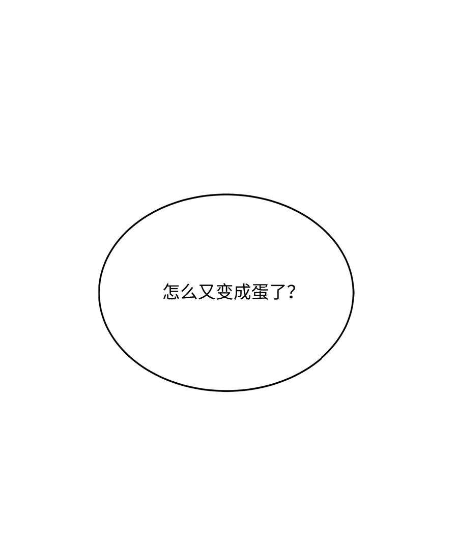 48.jpg