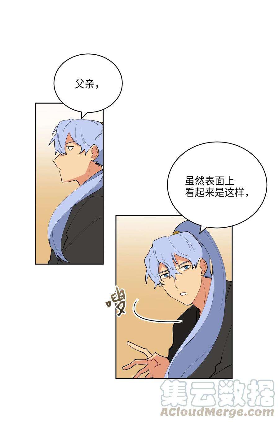 41.jpg