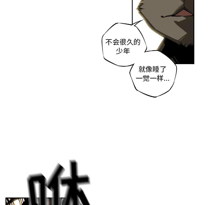 41.jpg