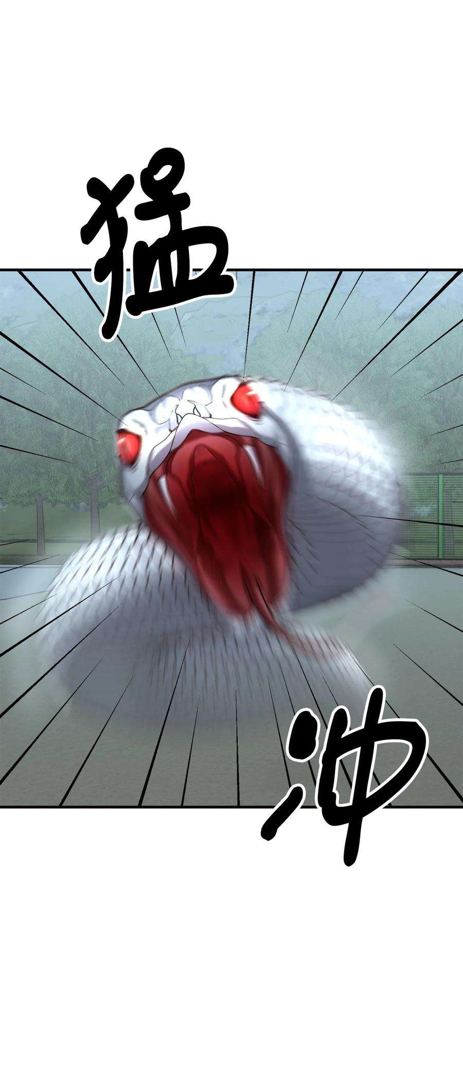 77.jpg