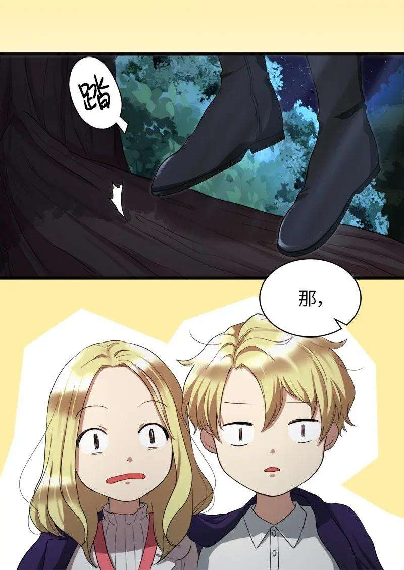 46.jpg