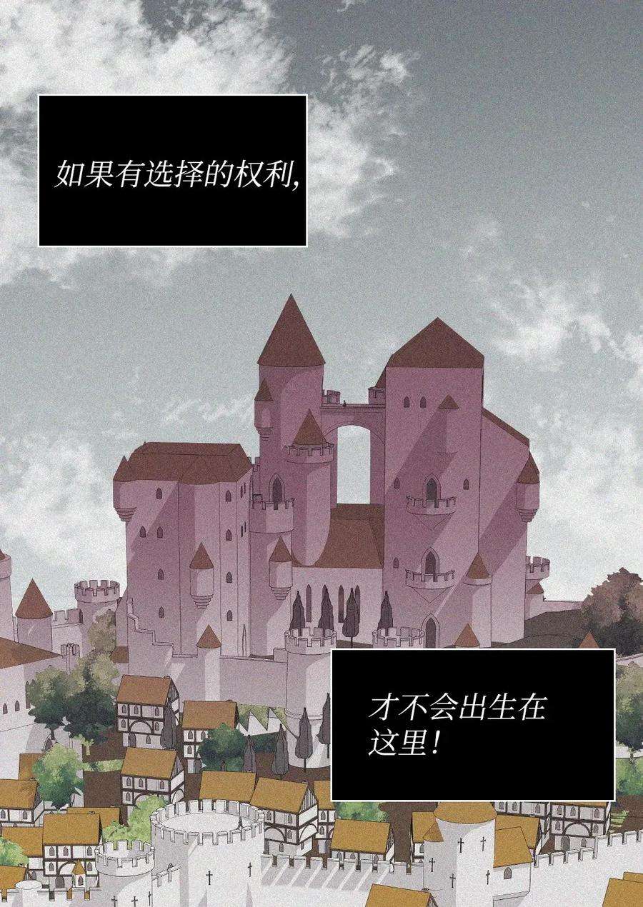 48.jpg