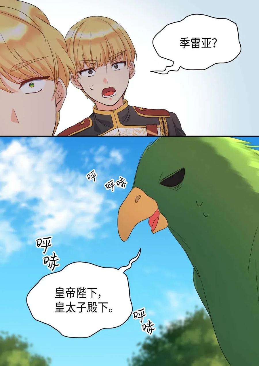 47.jpg