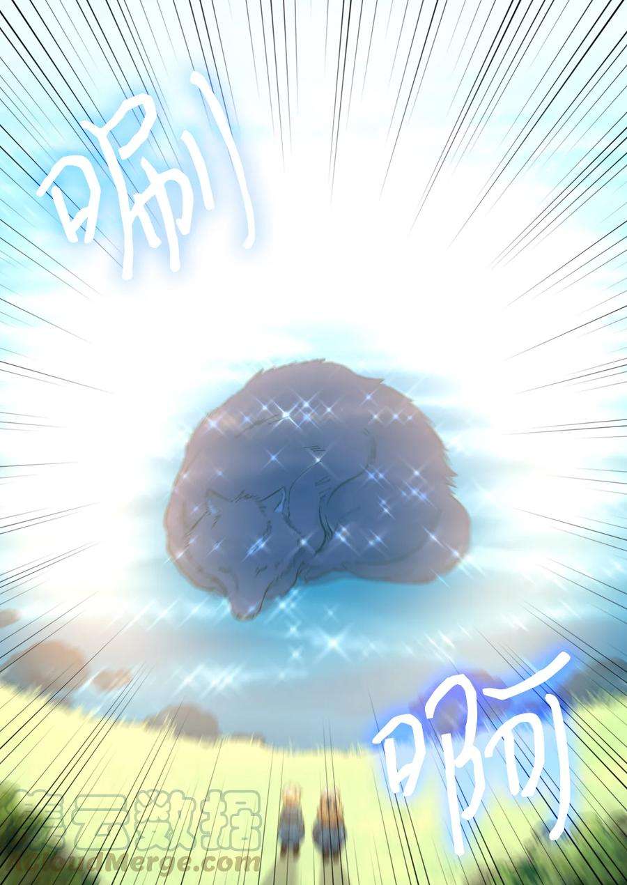 49.jpg