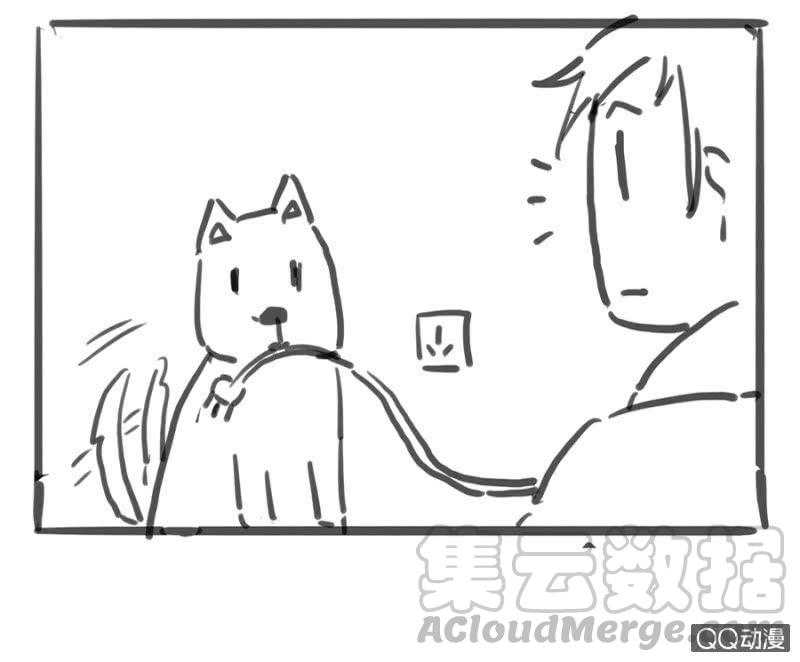 37.jpg