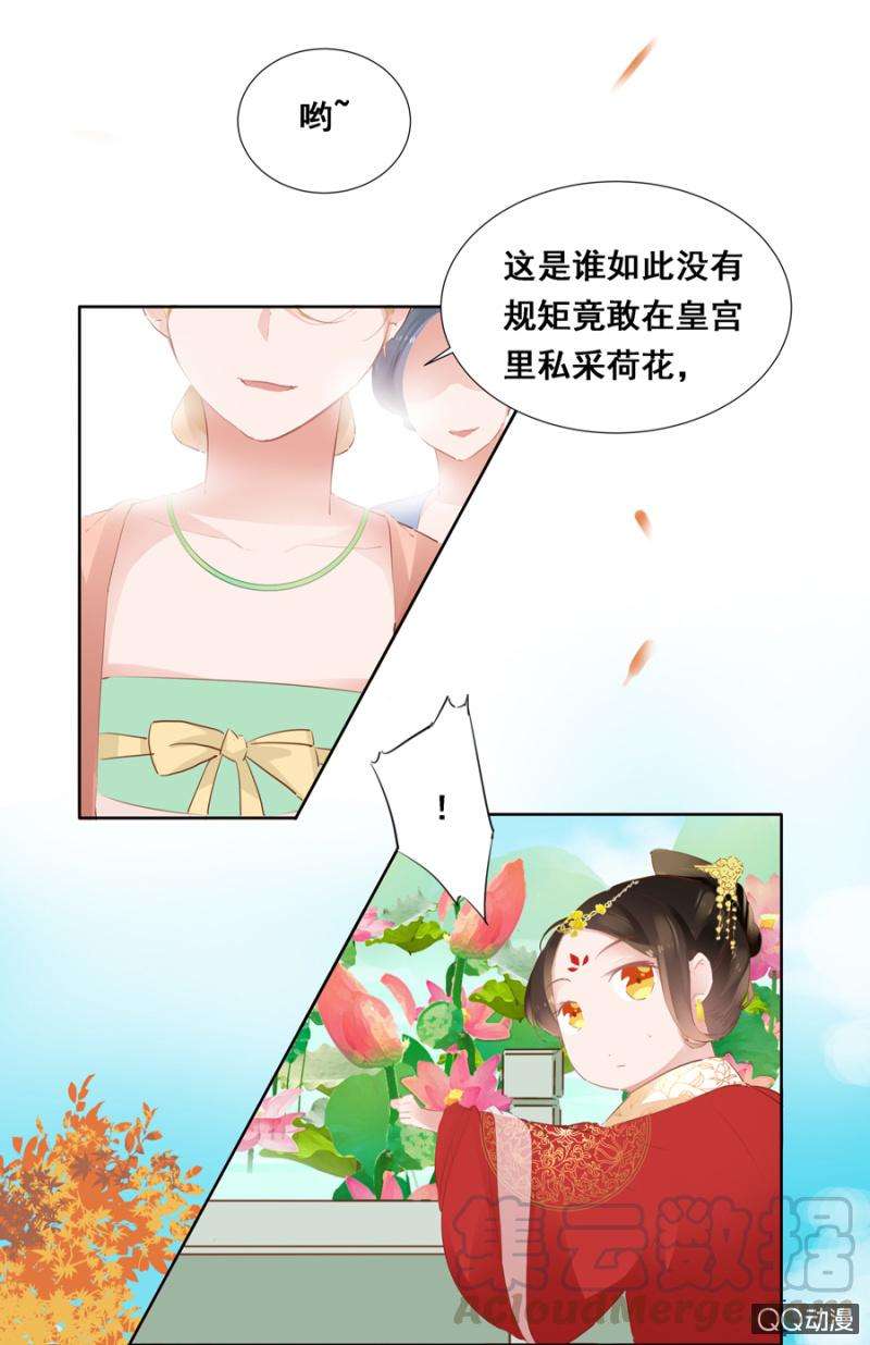 17.jpg