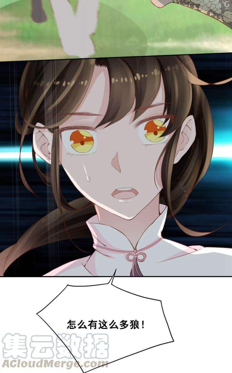 13.jpg