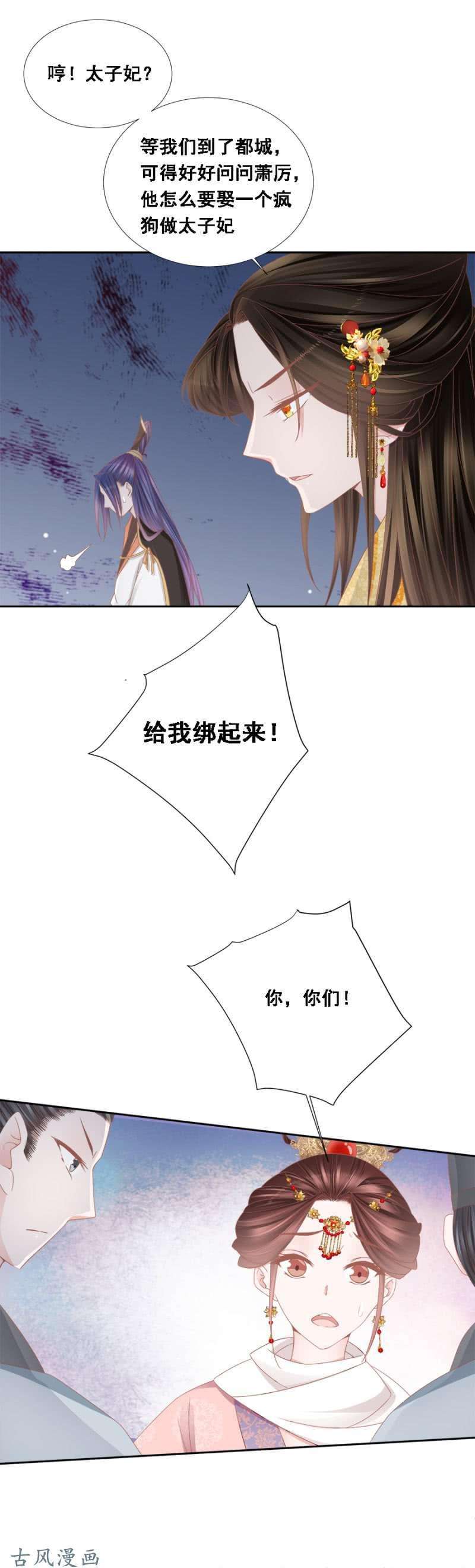15.jpg