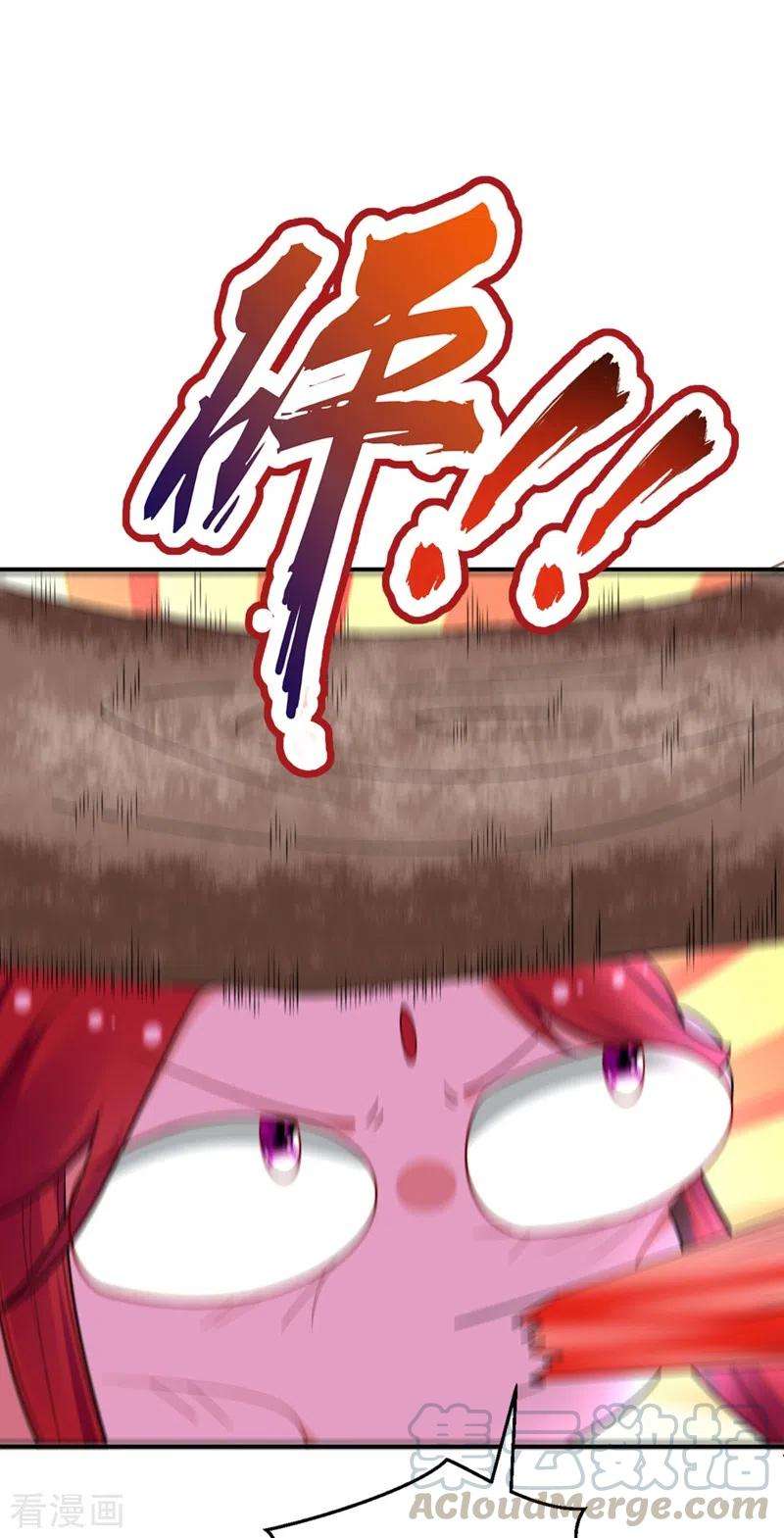 41.jpg