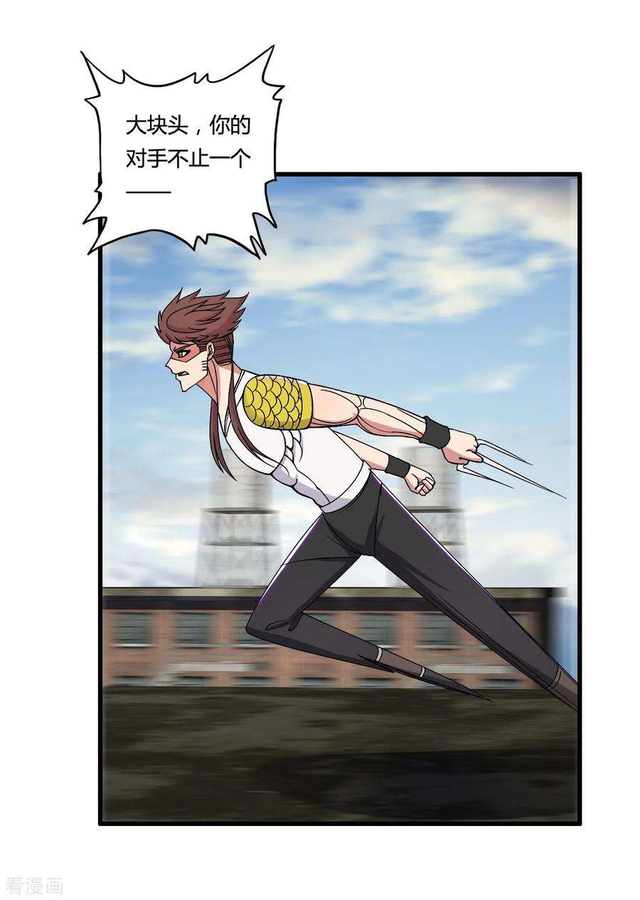 15.jpg