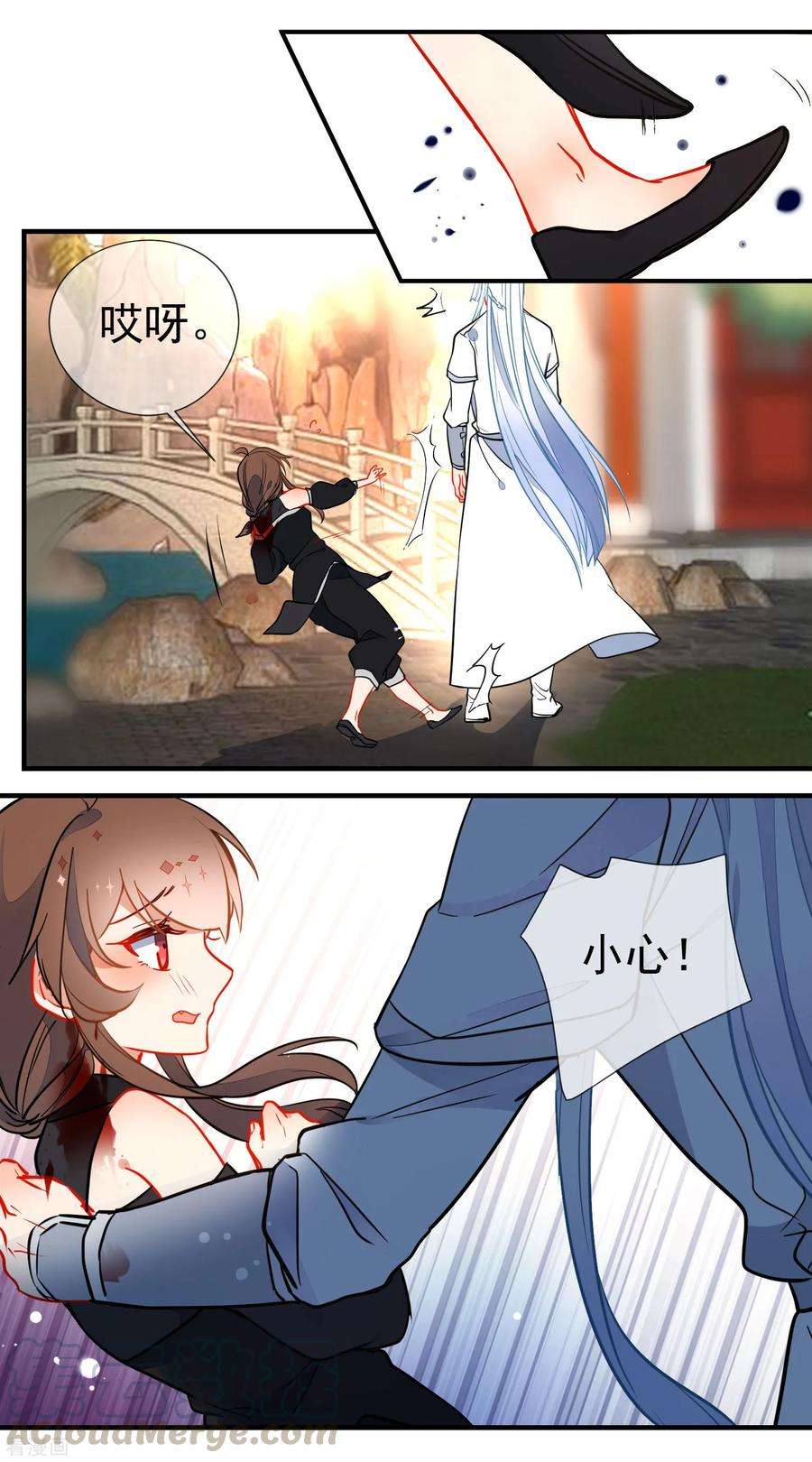 15.jpg