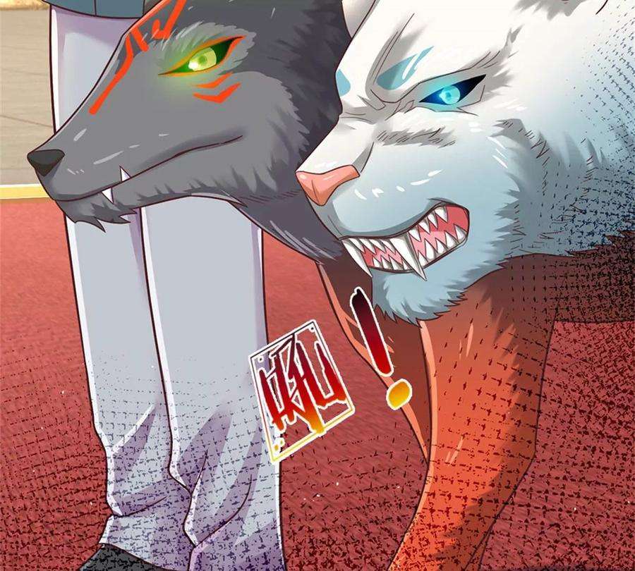 71.jpg