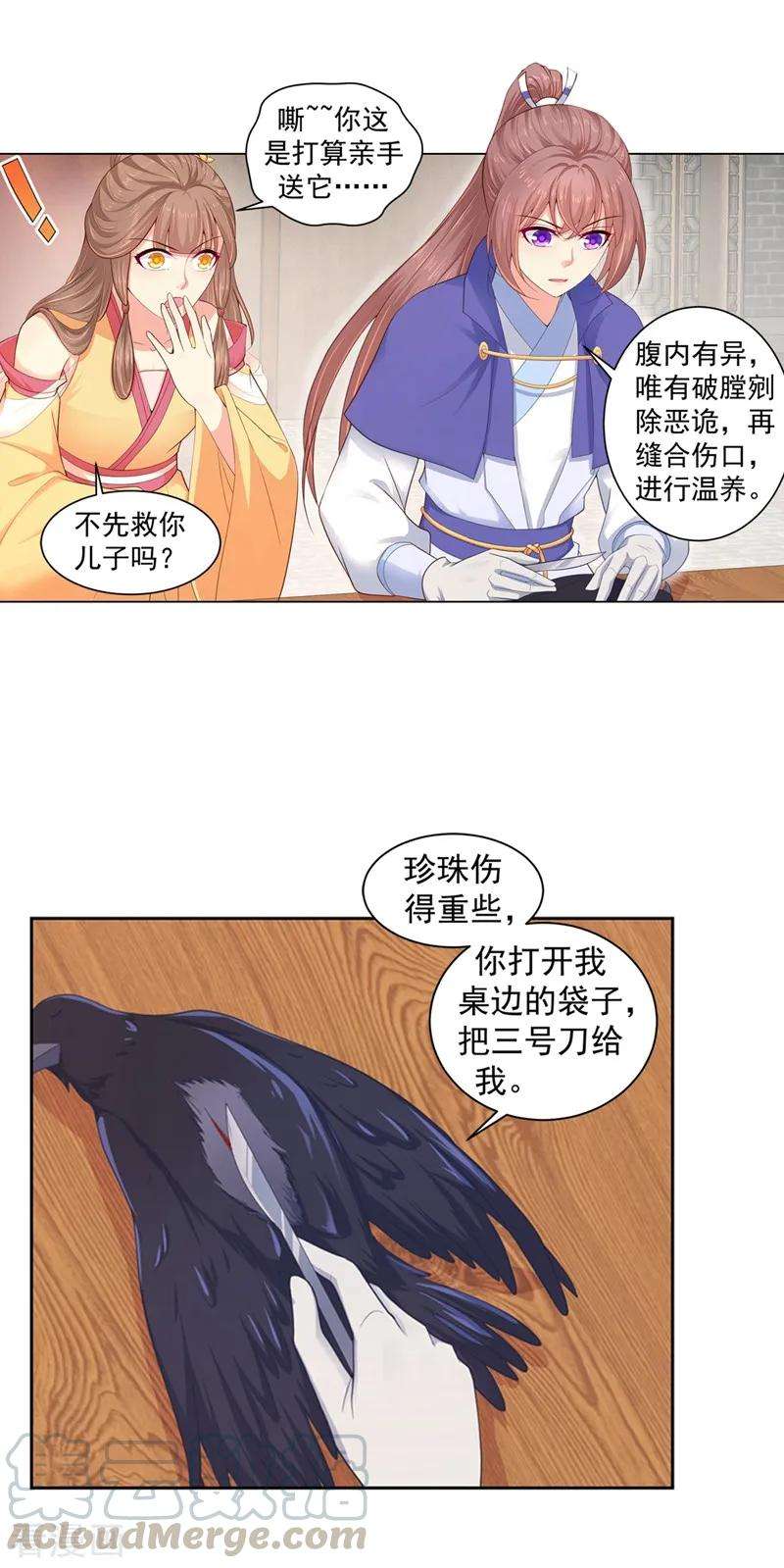 17.jpg