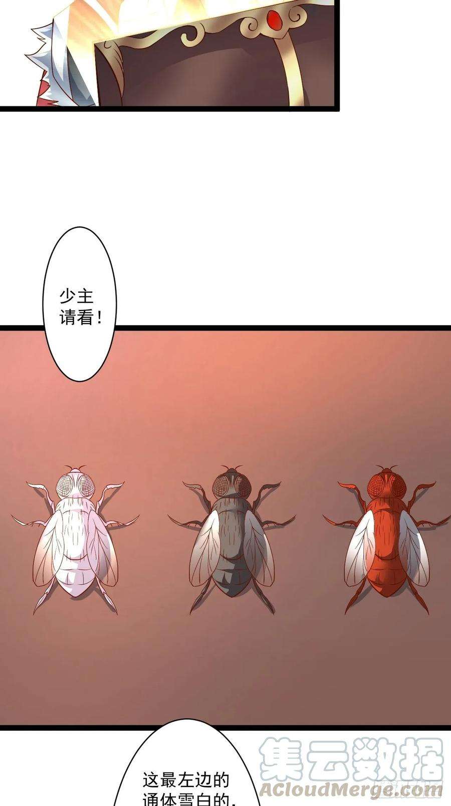 17.jpg