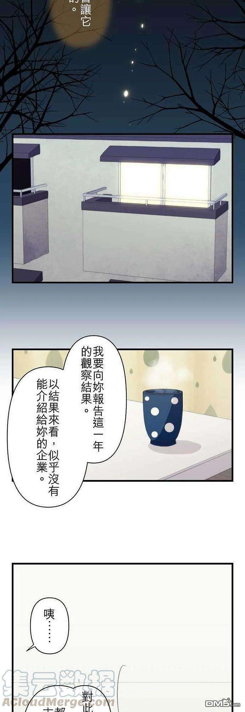 19.jpg