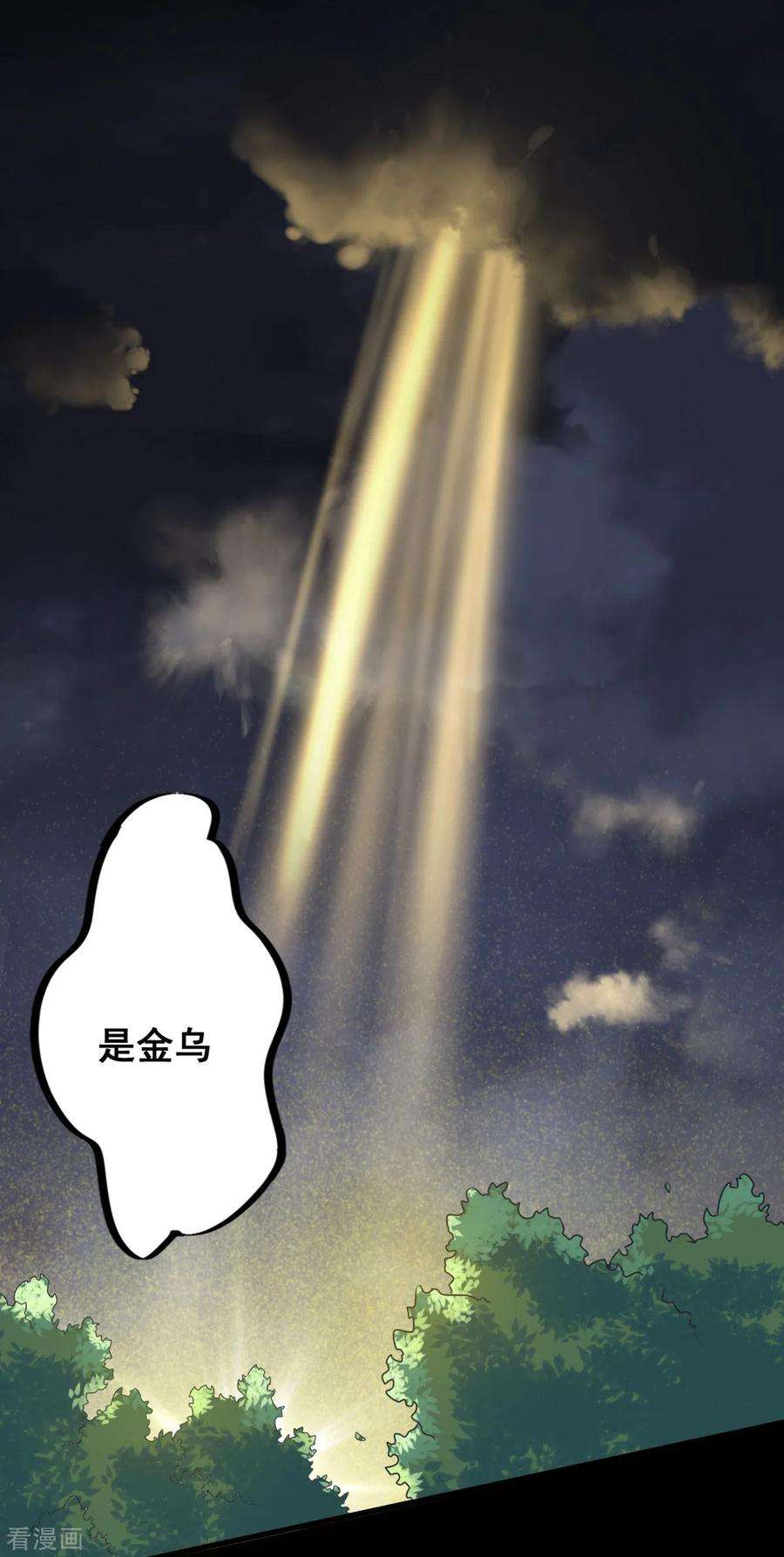 16.jpg